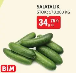 SALATALIK KG